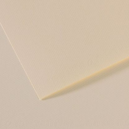 Canson Fon Kartonu (Dokulu) Mı-Teıntes Sh Canmt 50x65 160 GR Ylw 110 (10 Adet) resmi