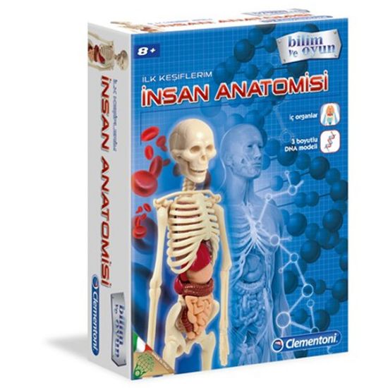 Clementoni İlk Keşiflerim (İnsan Anatomisi) 64297 resmi