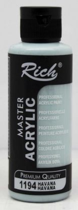 Rich Akrilik Boya Master 120 CC Havana 120-1194 resmi