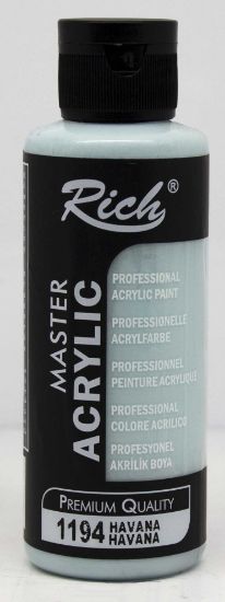 Rich Akrilik Boya Master 120 CC Havana 120-1194 resmi