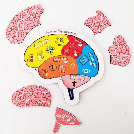 Moon Beavers Beynimi Öğreniyorum Ahşap Eğitici Oyun resmi