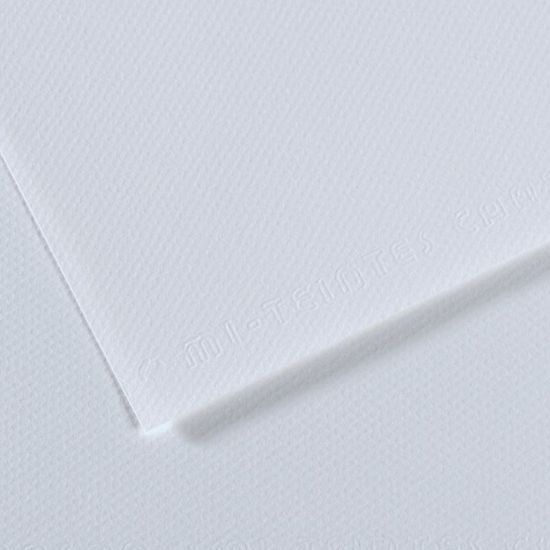 Canson Fon Kartonu (Dokulu) Mı-Teıntes Sh Canmt 50x65 160 GR Blu 181 (10 Adet) resmi