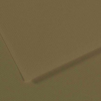 Canson Fon Kartonu (Dokulu) Mı-Teıntes Sh Canmt 50x65 160 GR Grn 191 (10 Adet) resmi