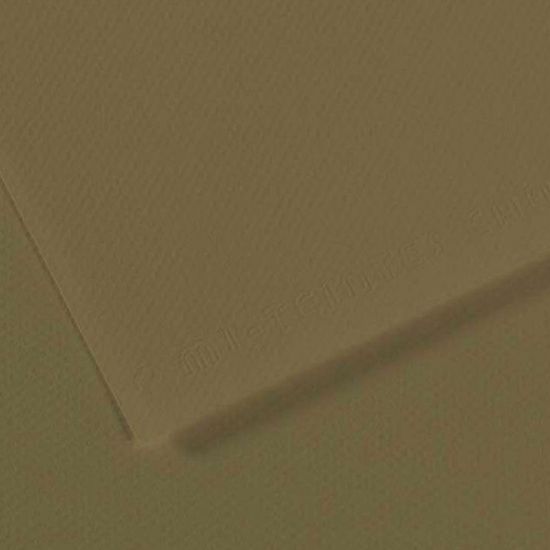 Canson Fon Kartonu (Dokulu) Mı-Teıntes Sh Canmt 50x65 160 GR Grn 191 (10 Adet) resmi