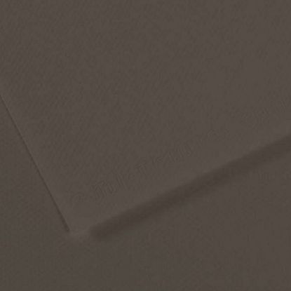Canson Fon Kartonu (Dokulu) Mı-Teıntes Sh Canmt 50x65 160 GR Grey 184 (10 Adet) resmi