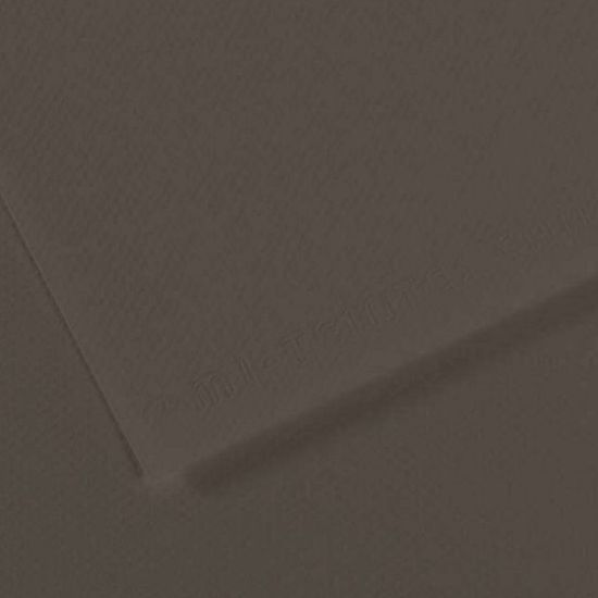 Canson Fon Kartonu (Dokulu) Mı-Teıntes Sh Canmt 50x65 160 GR Grey 184 (10 Adet) resmi