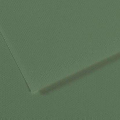 Canson Fon Kartonu (Dokulu) Mı-Teıntes Sh Canmt 50x65 160 GR Grn 190 (10 Adet) resmi