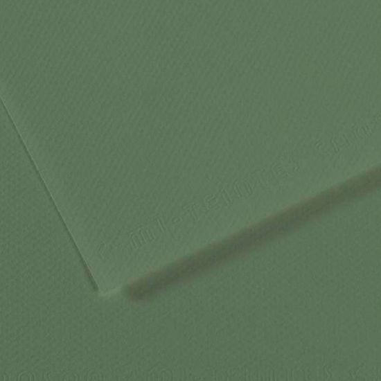 Canson Fon Kartonu (Dokulu) Mı-Teıntes Sh Canmt 50x65 160 GR Grn 190 (10 Adet) resmi