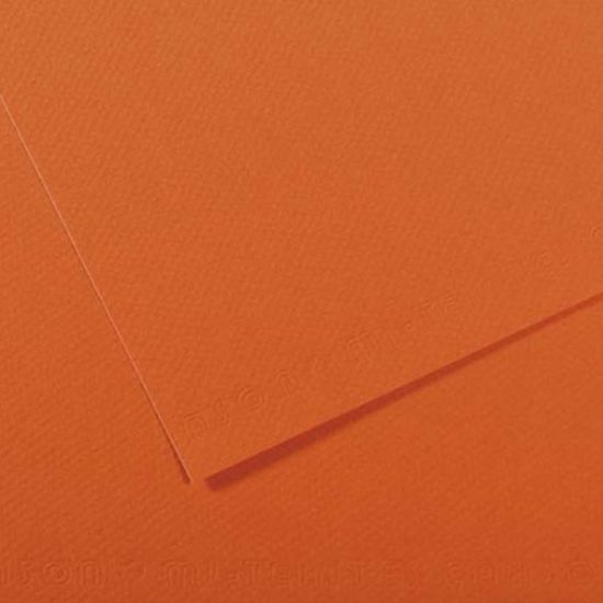 Canson Fon Kartonu (Dokulu) Mı-Teıntes Sh Canmt 50x65 160 GR Org 453 (10 Adet) resmi