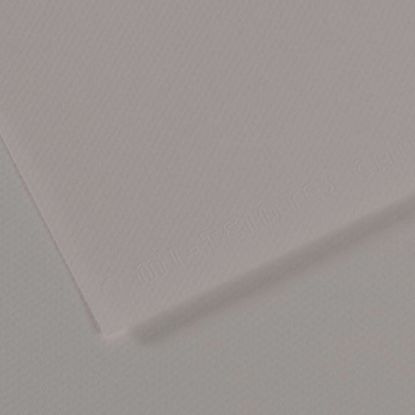 Canson Fon Kartonu (Dokulu) Mı-Teıntes Sh Canmt 50x65 160 GR Grey 186 (10 Adet) resmi