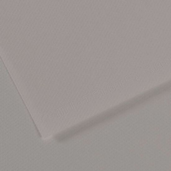 Canson Fon Kartonu (Dokulu) Mı-Teıntes Sh Canmt 50x65 160 GR Grey 186 (10 Adet) resmi