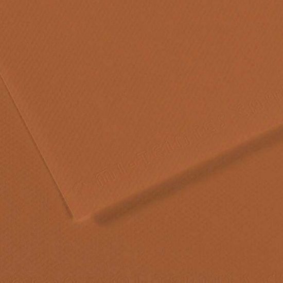 Canson Fon Kartonu (Dokulu) Mı-Teıntes Sh Canmt 50x65 160 GR Brown 187 (10 Adet) resmi