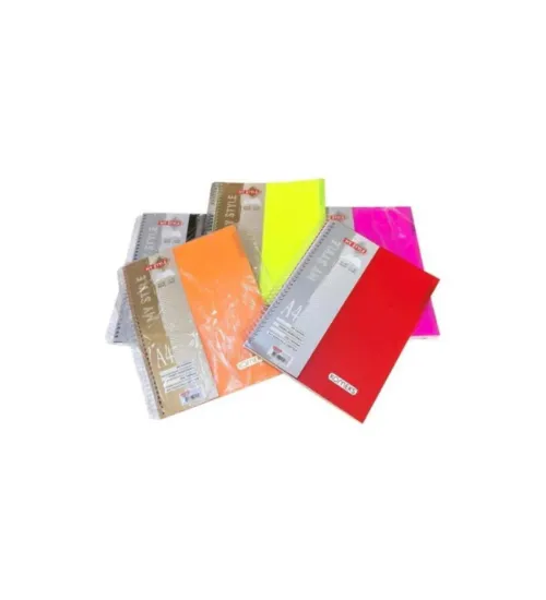 Komeks Spiralli Defter Plastik Kapak 3+1 Seperatörlü Kareli-Çizgili 160 YP A4  resmi