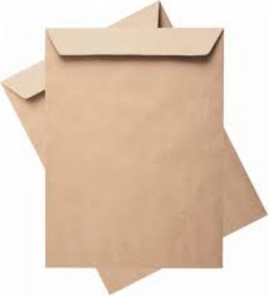 Oyal Torba Zarf Kraft Silikonlu 24x32 90 GR 30004061 (250 Adet) resmi