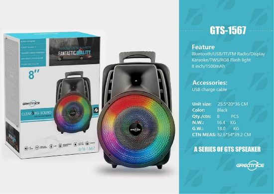 GTS-1567 8" Siyah Mikrofonlu Bleutooth/Fm/Usb Küçük El Anfisi RGB  resmi