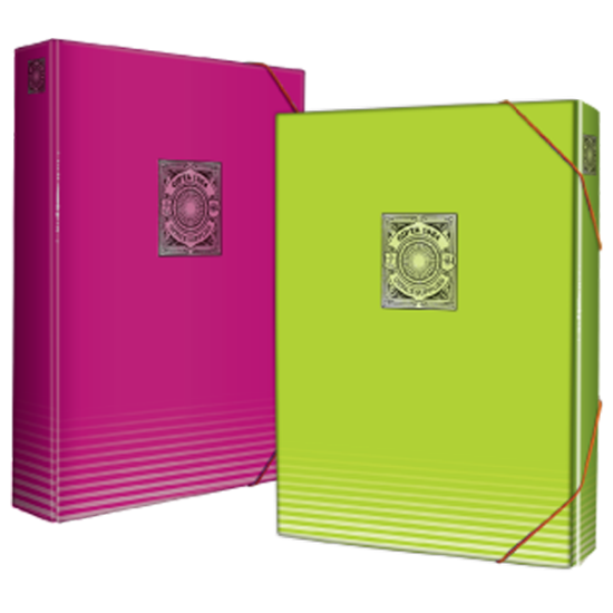 Gıpta Lastikli Kutu Dosya 25x35 Fosforlu Karışık Renkler 2542 resmi