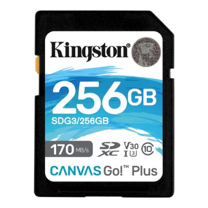 Kingston SDG3/256GB 256GB SDXC Canvas Go Plus 170R C10 UHS-I U3 V30 Hafıza Kartı resmi
