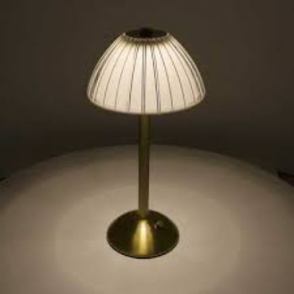 Panther PT-702 USB Şarjlı Masa Lambası (Karışık Renk) resmi