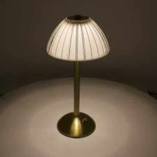 Panther PT-702 USB Şarjlı Masa Lambası (Karışık Renk) resmi