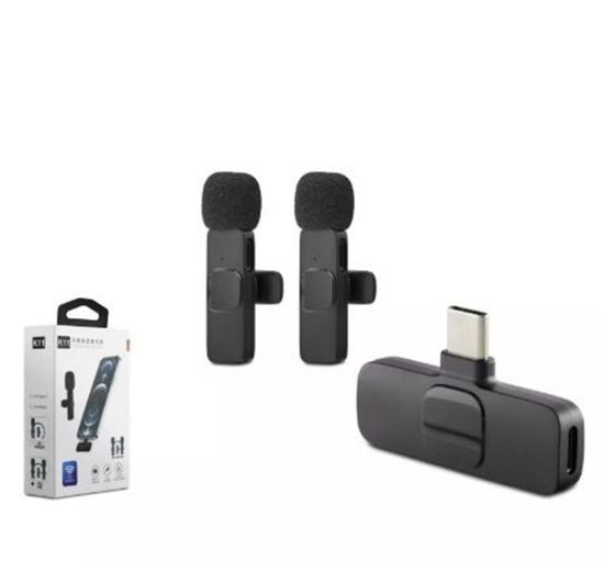 Hadron Hdx2788 Kablosuz 2*Mikrofon Type-C Siyah resmi