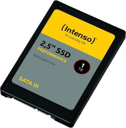 Intenso 1TB Performance 3814460 550-500 MB/s 2.5" SATA3 Ssd Disk resmi