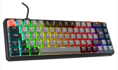 Rampage YORU MINI Gri/Siyah Type-C Bağlantılı OUTEMU Red Swich Q Mekanik Gaming Oyuncu Klavye RGB resmi