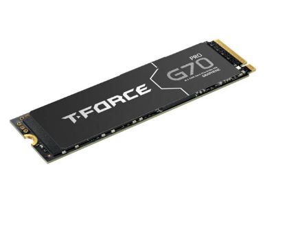 Team 2TB Team T-Force G70 Pro TM8FFH002T0C129 7400/5500MB/s NVMe PCIe M.2 T Ssd Disk resmi