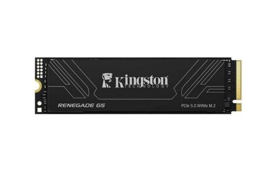 Kingston 4TB Renegade SRNG2S/4T0 14800-14000MB/S M2 Nvme Gen5 Ssd Disk resmi