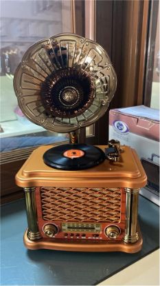 Everton Rt-586  Bluetooth Fm/Usb/Tf/Aux  Şarjlı Nostaljik Radyo resmi