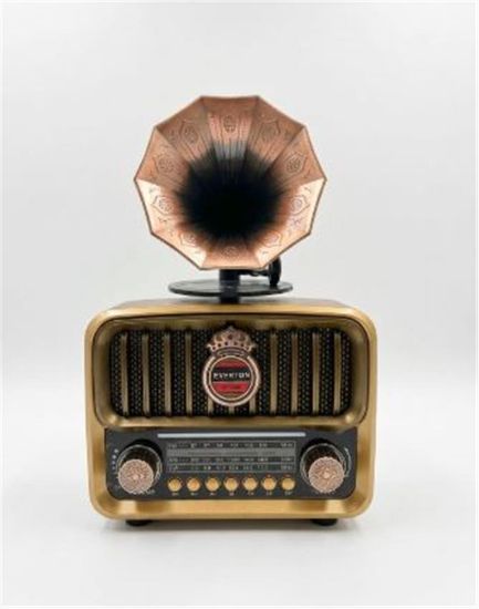 Everton RT-606 Gramofonlu, Şarjlı,  Nostaljik Radyo( Bluetooth-USB-SD-FM) resmi